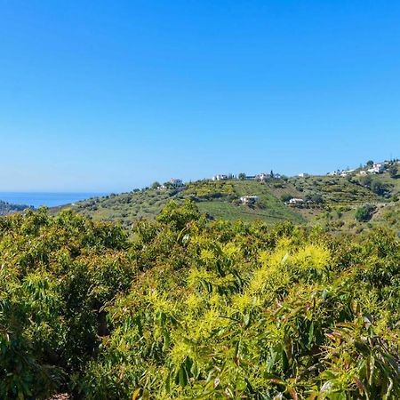 Villa Javier De Frigiliana By Ruralidays Exterior photo